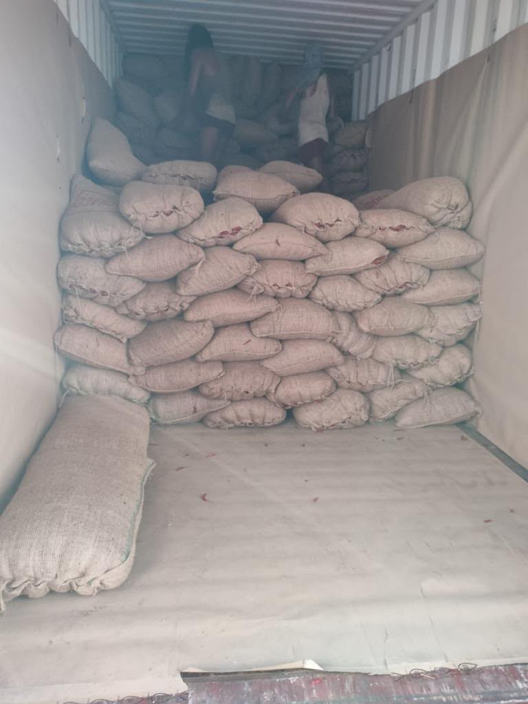 Jute bags loaded inside container